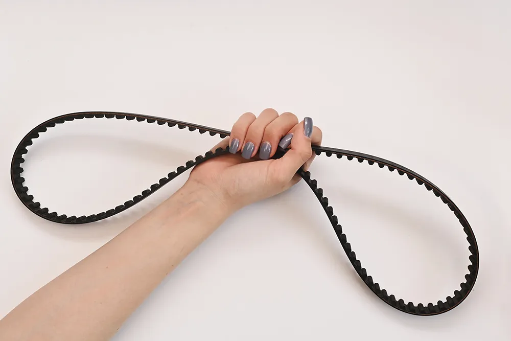 When to Replace Your Timing Belt to Avoid Costly Repairs in Franklin and Mount Juliet, Tennessee